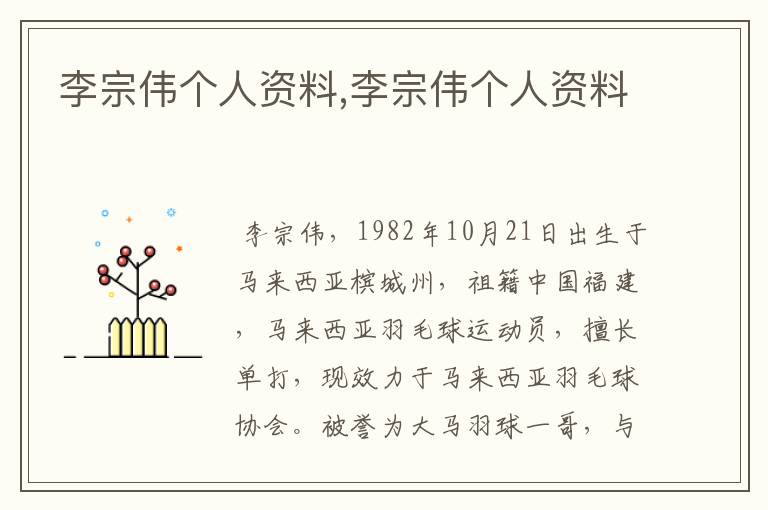 李宗伟个人资料,李宗伟个人资料