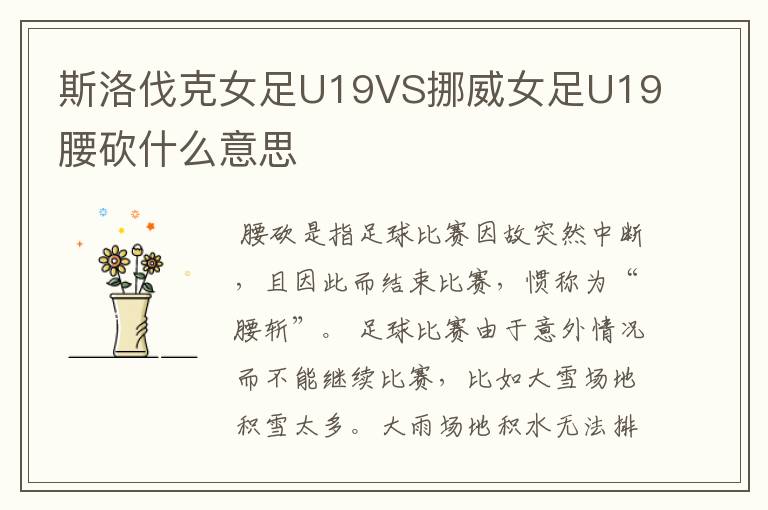 斯洛伐克女足U19VS挪威女足U19腰砍什么意思