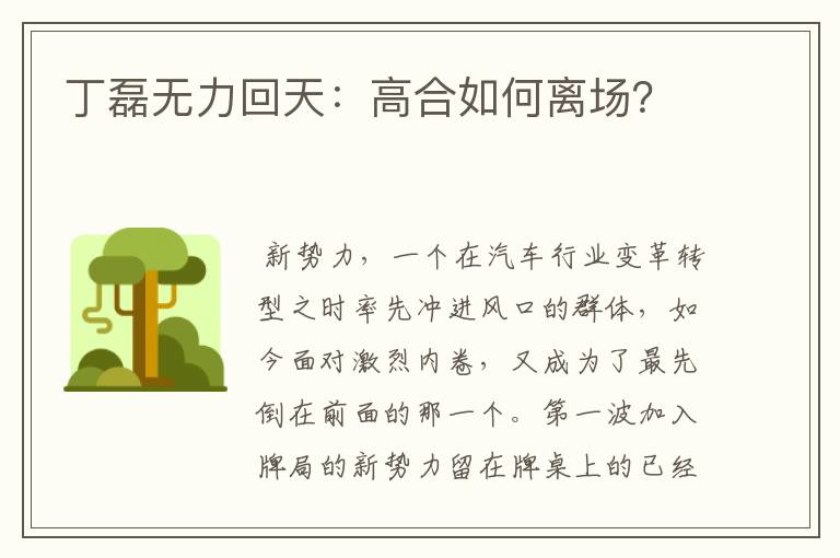 丁磊无力回天:高合如何离场?
