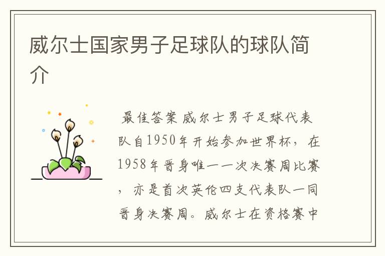 威尔士国家男子足球队的球队简介