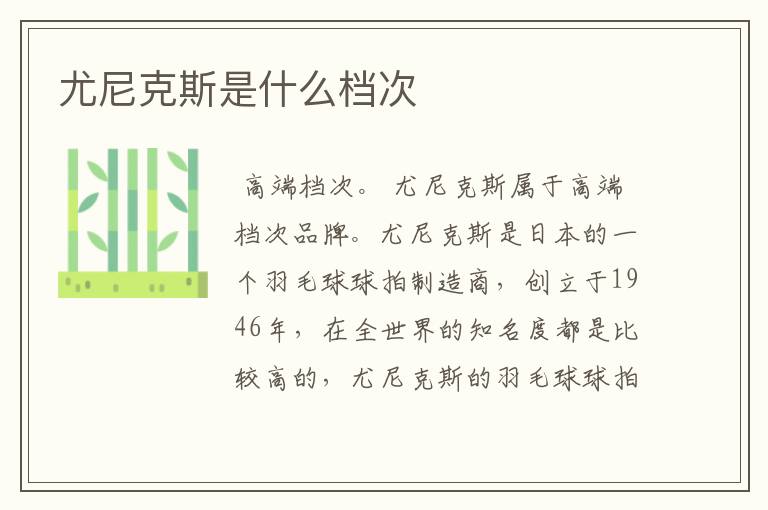 尤尼克斯是什么档次