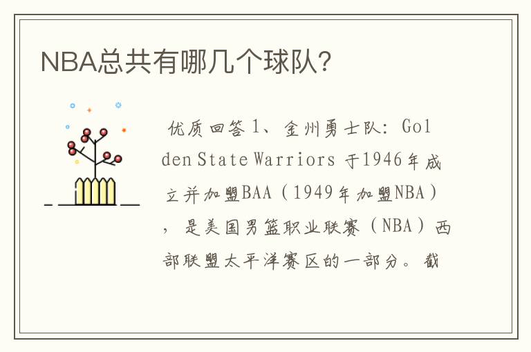 NBA总共有哪几个球队?