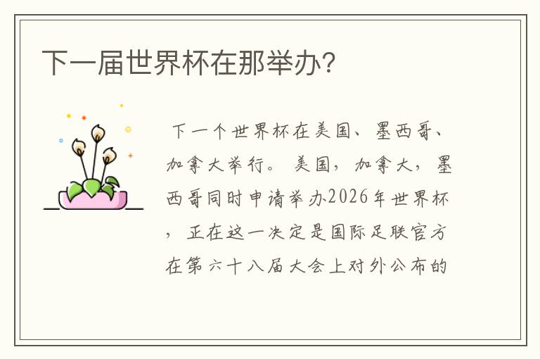 下一届世界杯在那举办?