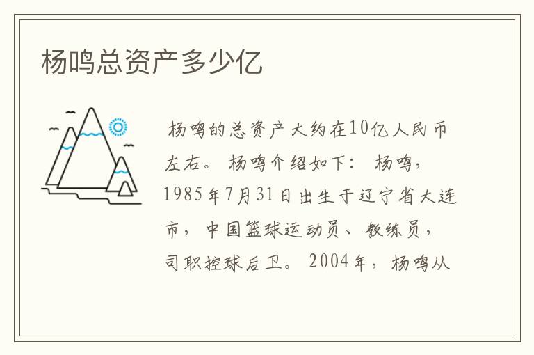 杨鸣总资产多少亿