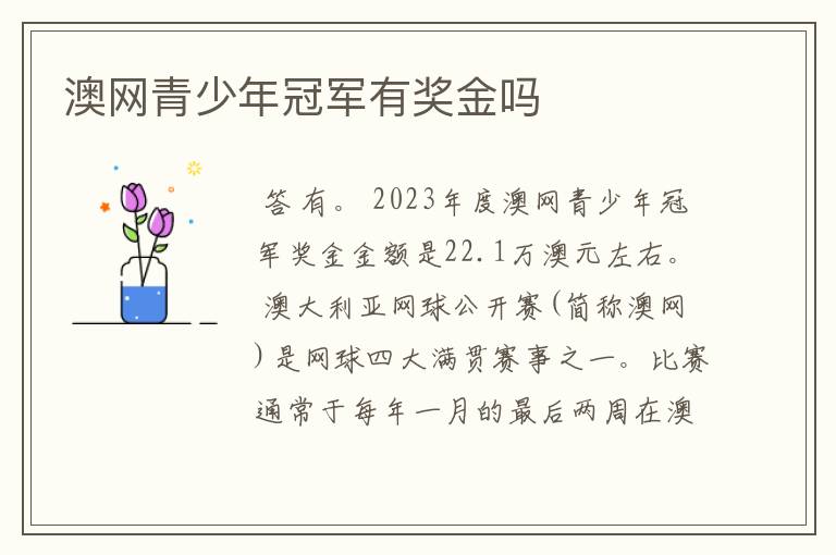 澳网青少年冠军有奖金吗