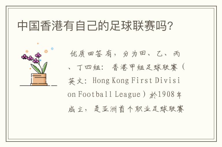 中国香港有自己的足球联赛吗?