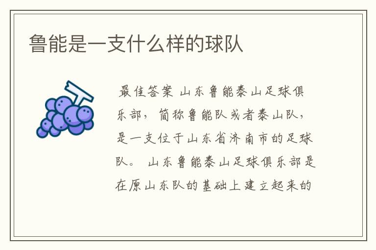 鲁能是一支什么样的球队