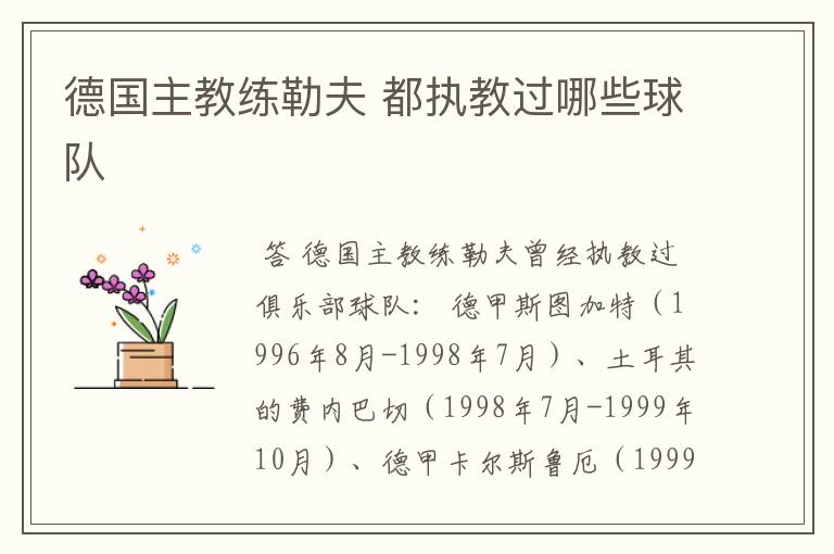 德国主教练勒夫 都执教过哪些球队