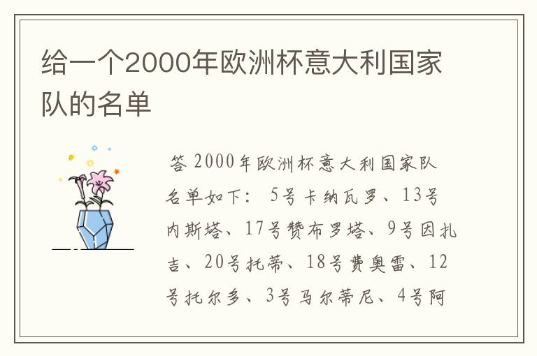 给一个2000年欧洲杯意大利国家队的名单