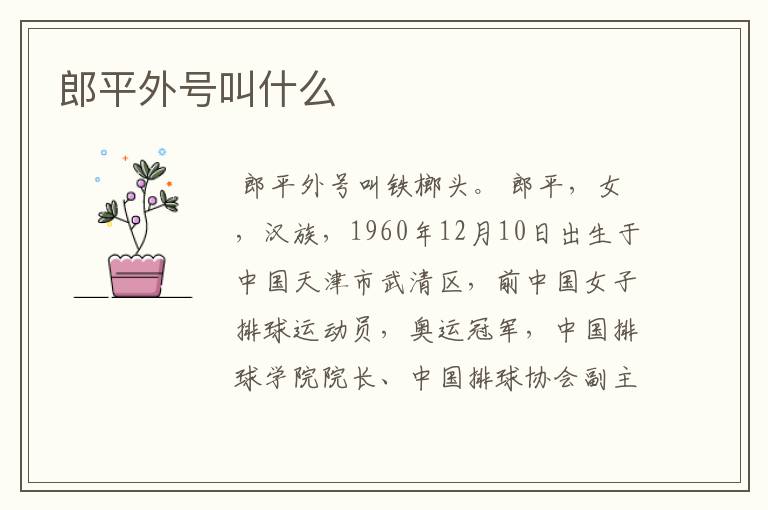 郎平外号叫什么