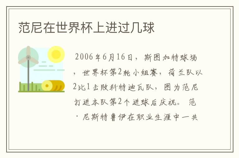 范尼在世界杯上进过几球