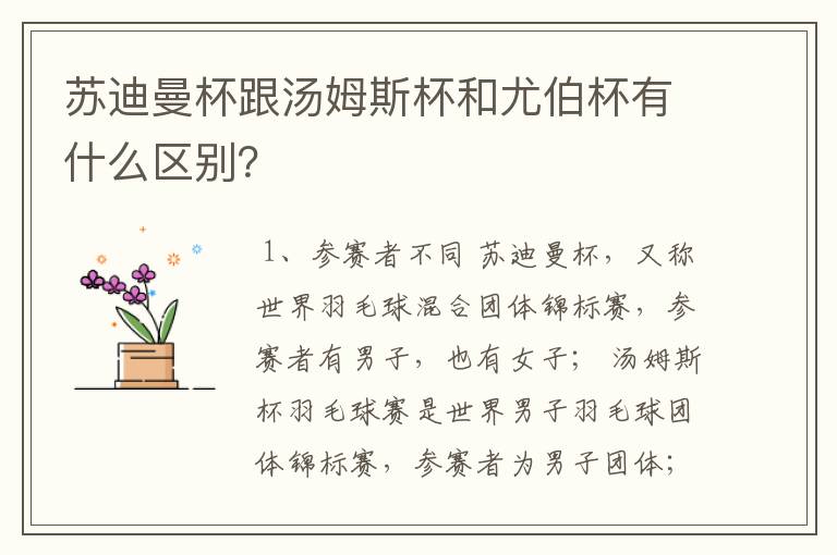 苏迪曼杯跟汤姆斯杯和尤伯杯有什么区别？