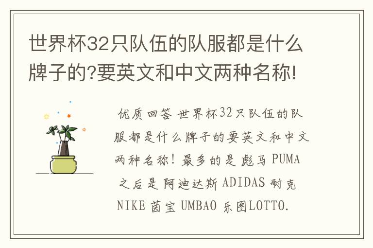世界杯32只队伍的队服都是什么牌子的?要英文和中文两种名称!