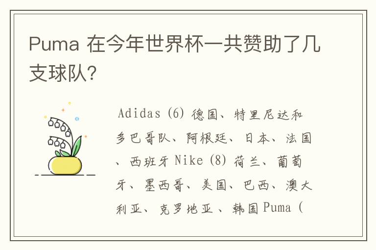 Puma 在今年世界杯一共赞助了几支球队?