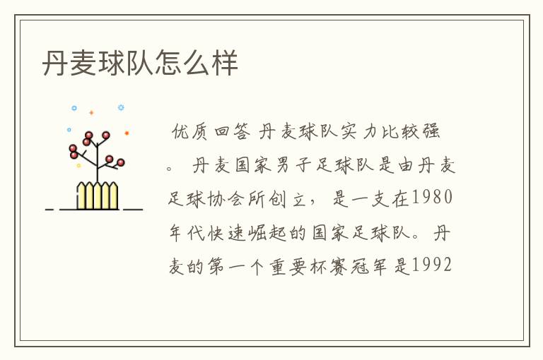 丹麦球队怎么样