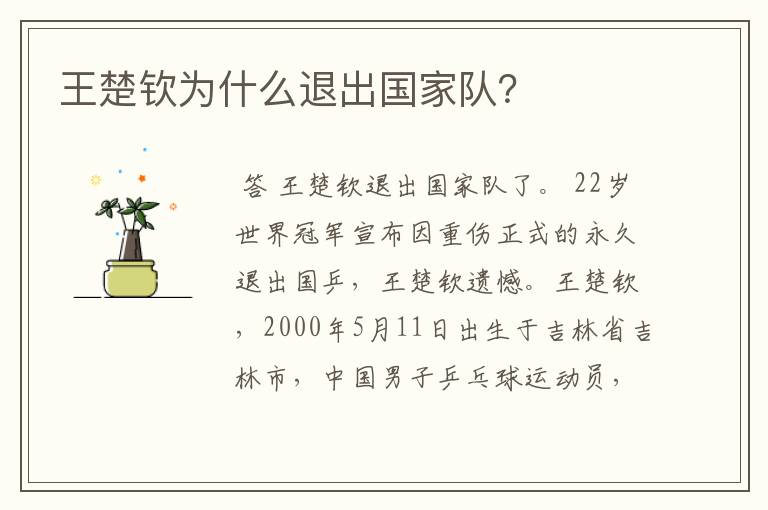 王楚钦为什么退出国家队?
