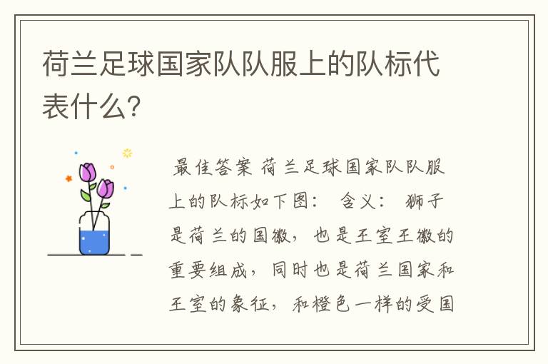 荷兰足球国家队队服上的队标代表什么?