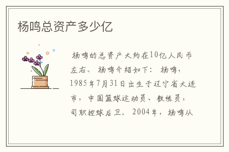 杨鸣总资产多少亿