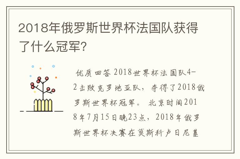 2018年俄罗斯世界杯法国队获得了什么冠军?