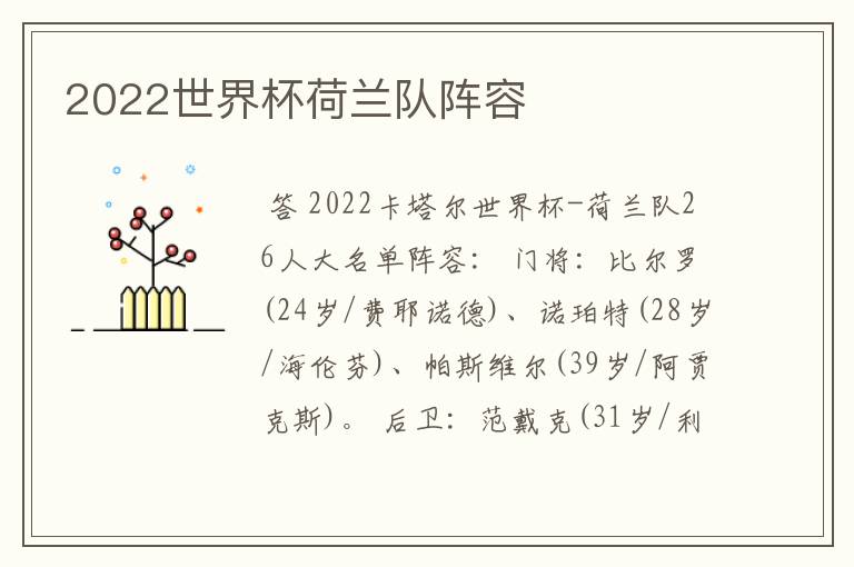 2022世界杯荷兰队阵容