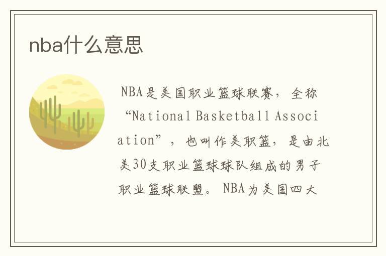 nba什么意思