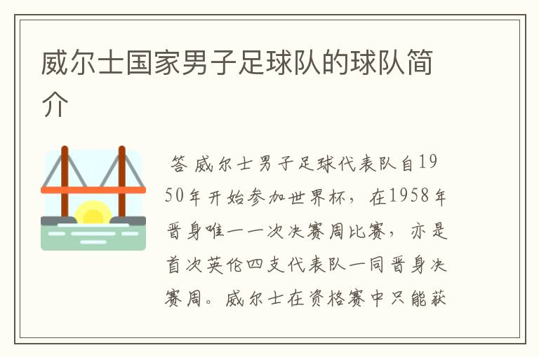 威尔士国家男子足球队的球队简介