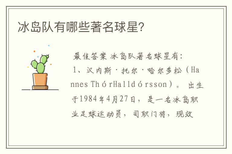 冰岛队有哪些著名球星?