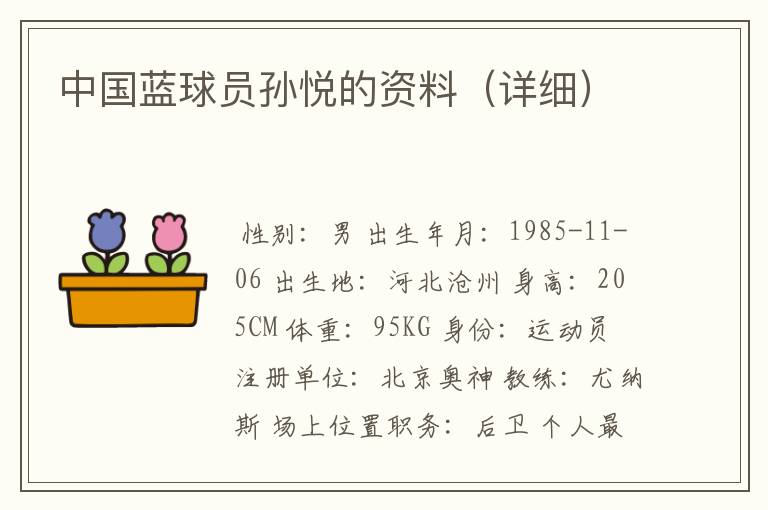 中国蓝球员孙悦的资料（详细）
