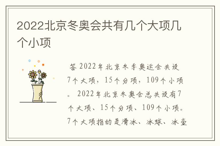 2022北京冬奥会共有几个大项几个小项