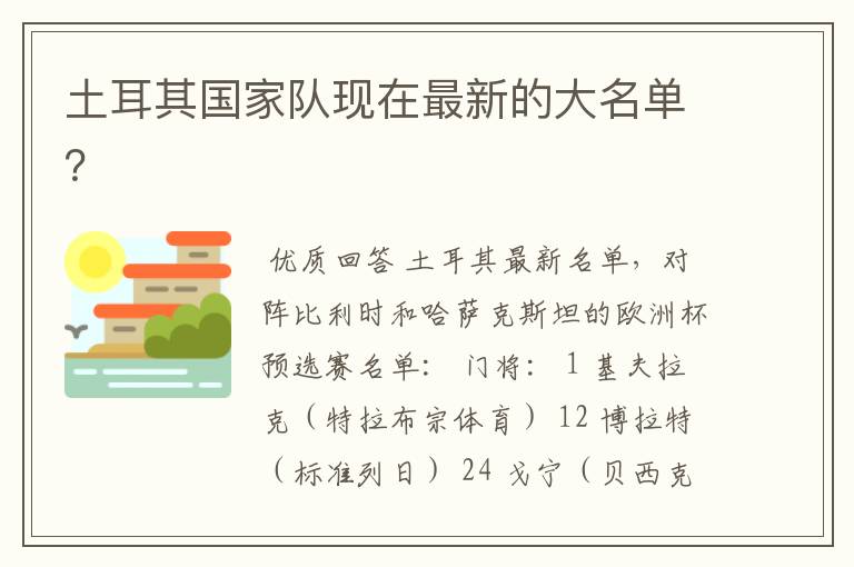 土耳其国家队现在最新的大名单?