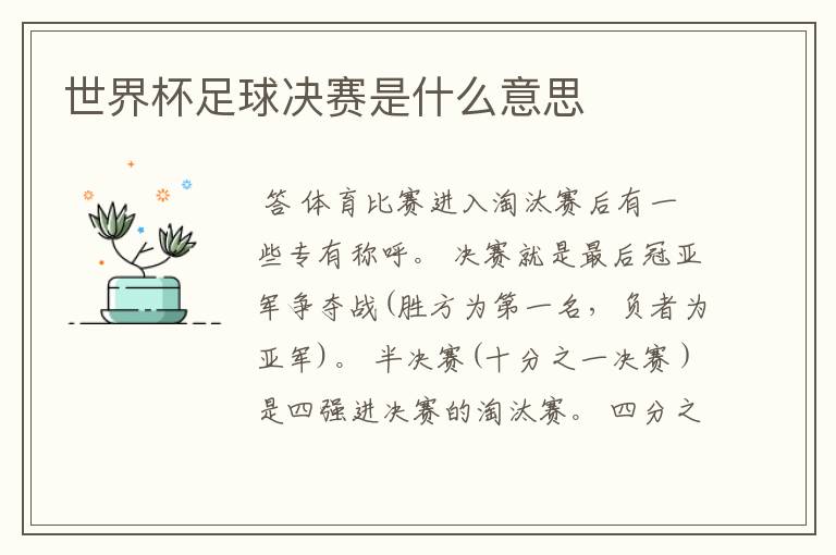 世界杯足球决赛是什么意思