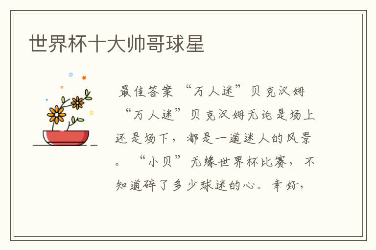世界杯十大帅哥球星