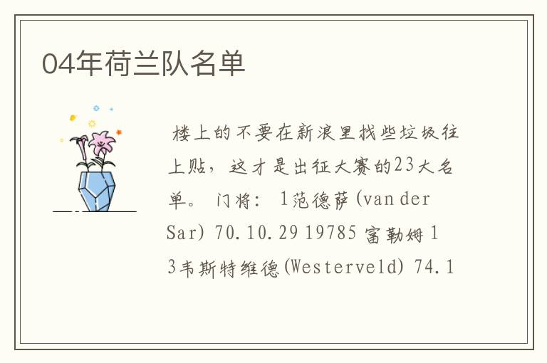 04年荷兰队名单