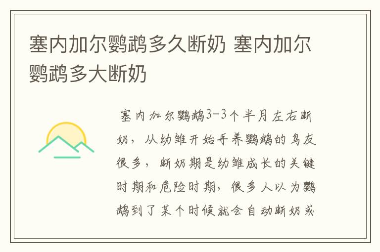 塞内加尔鹦鹉多久断奶 塞内加尔鹦鹉多大断奶