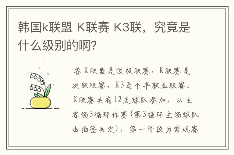 韩国k联盟 K联赛 K3联,究竟是什么级别的啊?