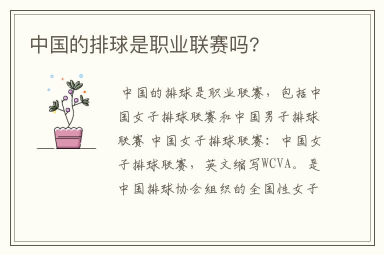 中国的排球是职业联赛吗?