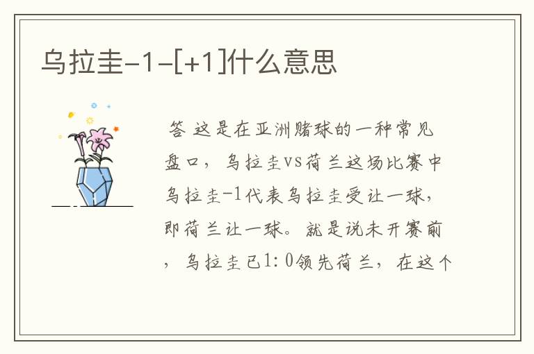 乌拉圭-1-[+1]什么意思