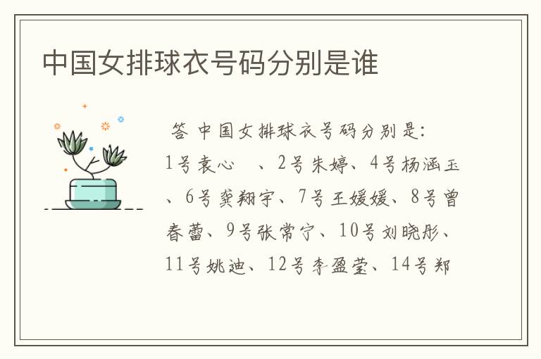 中国女排球衣号码分别是谁