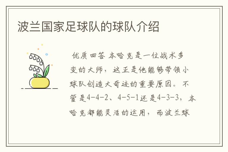 波兰国家足球队的球队介绍