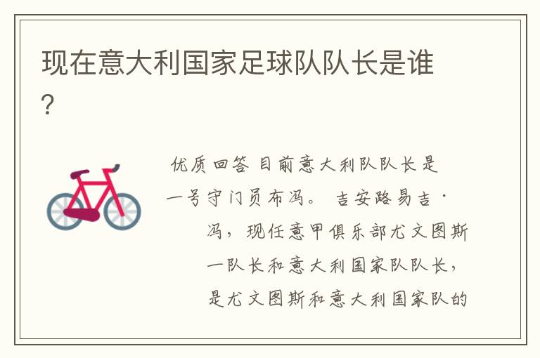 现在意大利国家足球队队长是谁?