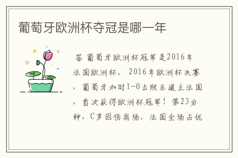 葡萄牙欧洲杯夺冠是哪一年