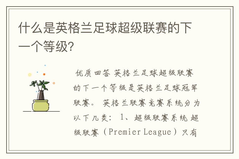 什么是英格兰足球超级联赛的下一个等级?