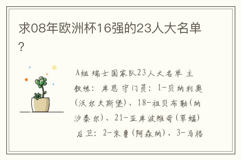 求08年欧洲杯16强的23人大名单?