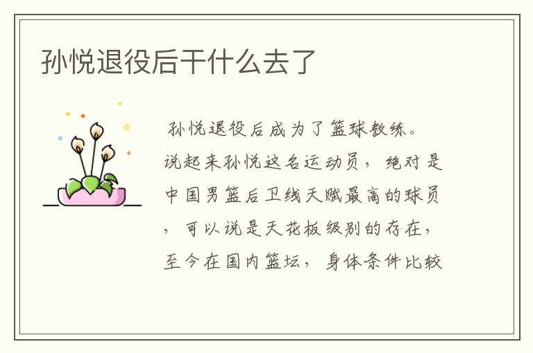 孙悦退役后干什么去了
