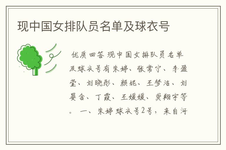 现中国女排队员名单及球衣号