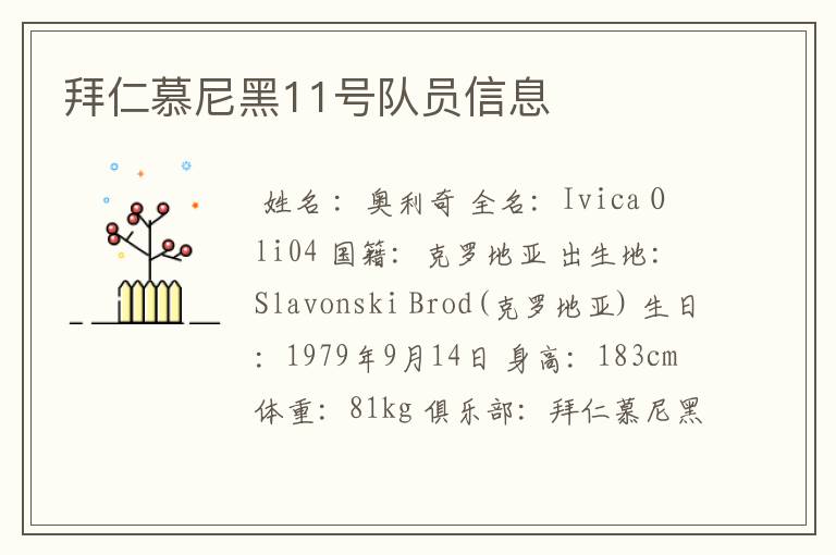 拜仁慕尼黑11号队员信息