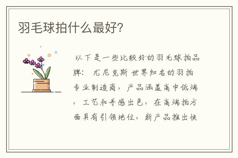 羽毛球拍什么最好?