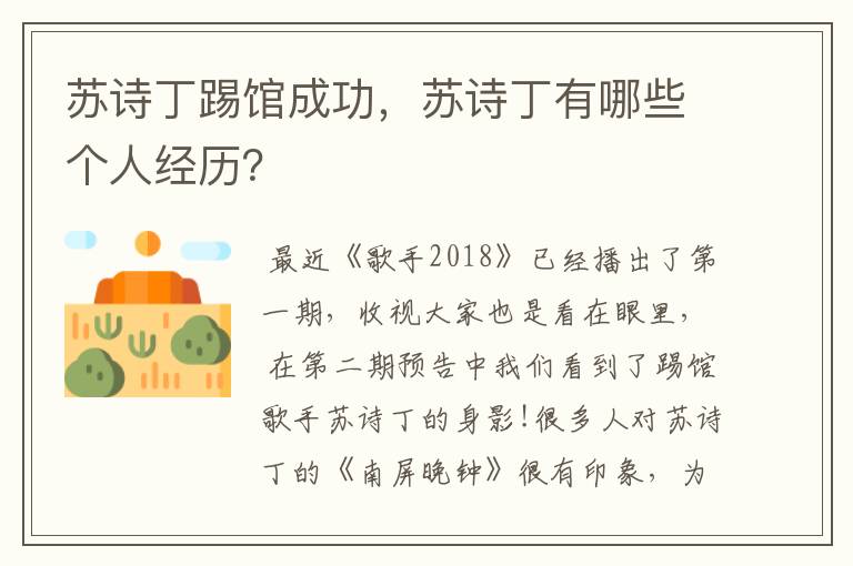 苏诗丁踢馆成功,苏诗丁有哪些个人经历?