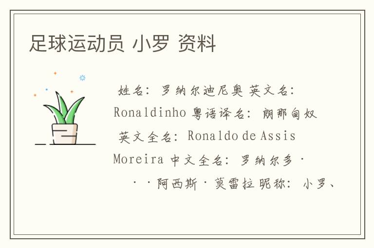 足球运动员 小罗 资料