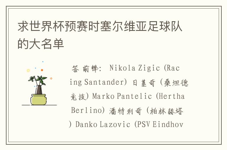 塞尔维亚足球队-塞尔维亚足球队最新名单